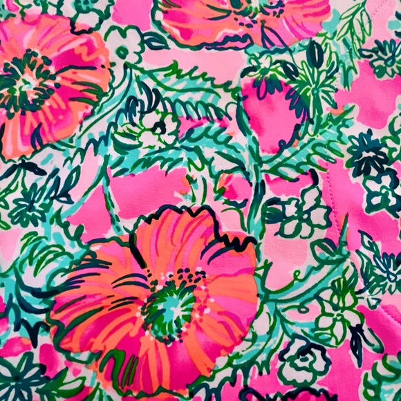 Lilly Pulitzer UPF 50 Solia Chillylilly Dress - Picture 3 of 11